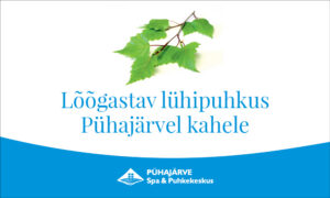 Lõõgastav lühipuhkus Pühajärvel kahele