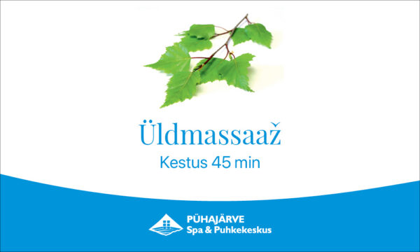 Üldmassaaž 45 min